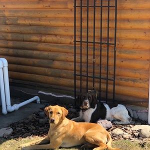 Meet your Posher, Sam